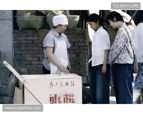 岁月的痕迹与时代的印记：从苍井空现象看文化变迁的万花筒