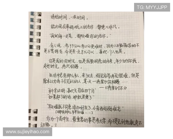 最后的任务：一段未竟的史诗，一次关于选择的深刻回响