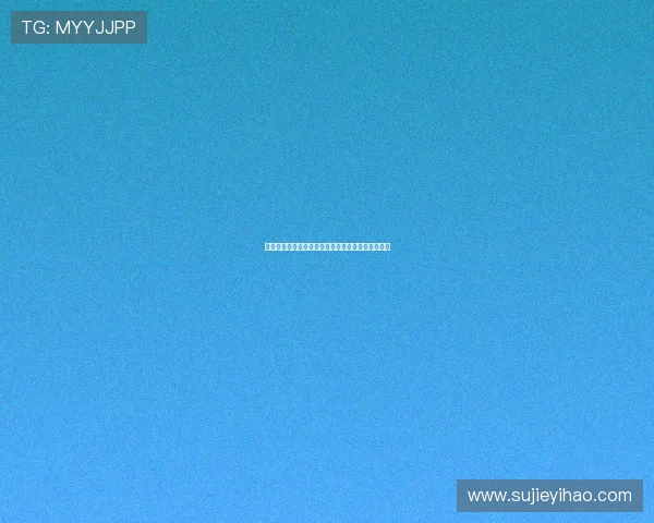 扬帆远航，寻宝启程——《神鬼奇航》的浪漫与冒险